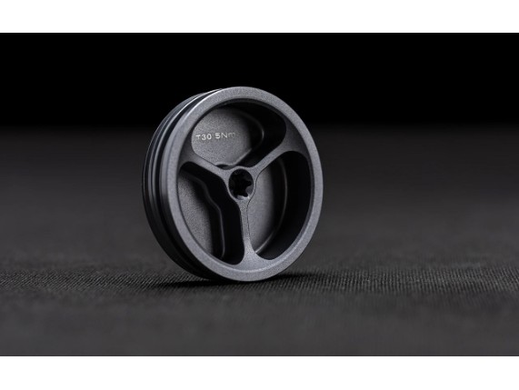 SMX1-SR-S-03 Aluminium-Seitenkappe der Schwinge