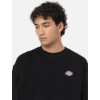 Dickies-DK0A4YLZBLK1-7