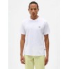 DK0A4XDBWHX1-1_6