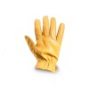 DMD-Shield-yellow-1