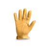 DMD-Shield-yellow-3