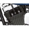 Harley-Davidson-CLASSIC-CHROME-Bolzenabdeckung-Zylinderkopf-TwinCam-43822-01-272139036075-2