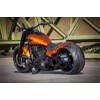 Harley-Davidson Fat Boy 300 Custom Ricks-031