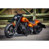 Harley-Davidson Fat Boy 300 Custom Ricks-059