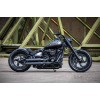 Harley-Davidson-Fat-Boy-Custom-Ricks-039-1