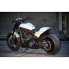 Harley_Davidson-FXDR-Custom-Ricks-102