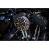 Harley-Davidson-Sportster-Iron-Ricks-003