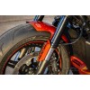 Harley-Davidson-Sportster S-Ricks Custombike-060