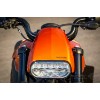 Harley-Davidson-Sportster-S-Ricks-Custombike-065