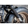 Harley-Davidson-Sportster-S-Ricks-Custombike-087