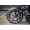 Harley-Davidson-Sportster-S-Ricks-Custombike-103