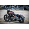 Harley-Davidson Street Bob Ricks - Custom Bobber- 044