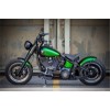 Harley-DAvidson_TwinCam_Softail_Slim_Bobber-026