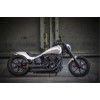 Harley_Fat_Boy_Slim_S_300_-_B-VA-42-014