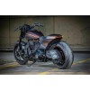 Ricks-Harley-Davidson-FXDR-seitlicher-Kennzeichenhalter-Kit-Alu-kurz-schwarz-DE-273701684887-3