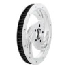 Ricks-Harley-Davidson-Pulley-HOLLISTER-65-Zhne29-mmpoliert10-6001065-1-282467394850-5