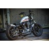 Ricks-Harley-Davidson-Sportster-ab-2010-BOBBER-Schutzblech-Fender-mitschwingend-273992325516-2