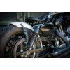 Ricks-Harley-Davidson-Sportster-Beltschutz-Antriebsriemen-Abdeckung-283613342187-6