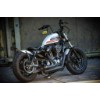 Ricks-Harley-Davidson-Sportster-Beltschutz-Antriebsriemen-Abdeckung-283613342187-7