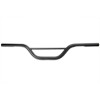 Ricks-Harley-Davidson-Sportster-Lenker-DIRT-TRACK-schwarz-matt-273779240158-4