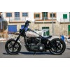 Ricks-Harley-Dyna-ab-2006-Schutzblech-Fender-180er-Reifen-hinten-Stahl-283000394377-8