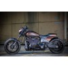 Ricks-Harley-FXDR-Stahl-fender-rear-Spritzschutz-Reifenabdeckung-273597750466-8