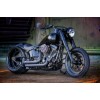 Ricks-Harley-Softail-110Cui-ab-2016-H-Lector-Luftfilter-Billet-Alu-schwarz-283408030143-12
