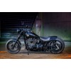Ricks-Harley-Softail-TC88-00-06-Kit-300er-GFK-Short-Cut-RACE-Fender-Schutzblech-283400442204-12