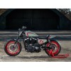 Ricks-Harley-Sportster-ab-2010-RACELINE-Schutzblech-Fender-hinten-GFK-282970846086-11