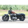 Ricks-Harley-Sportster-seitlich-Kennzeichenhalter-matt-schwarz-mit-TVABE-DE-273701640085-4