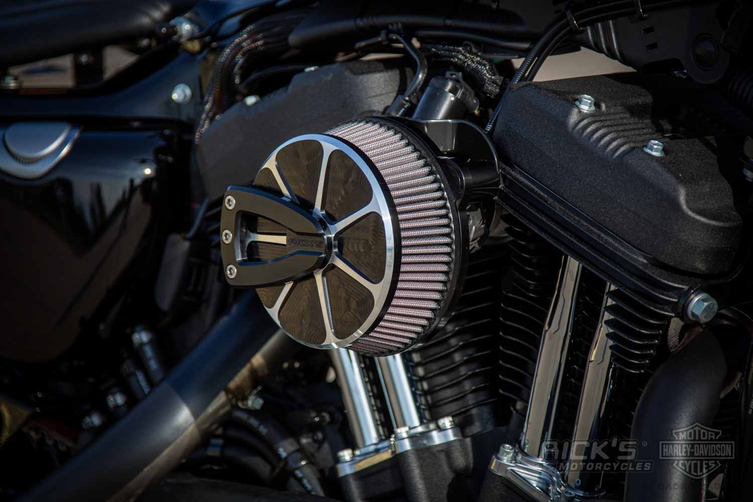 Harley-Davidson-Sportster-Iron-Ricks-003