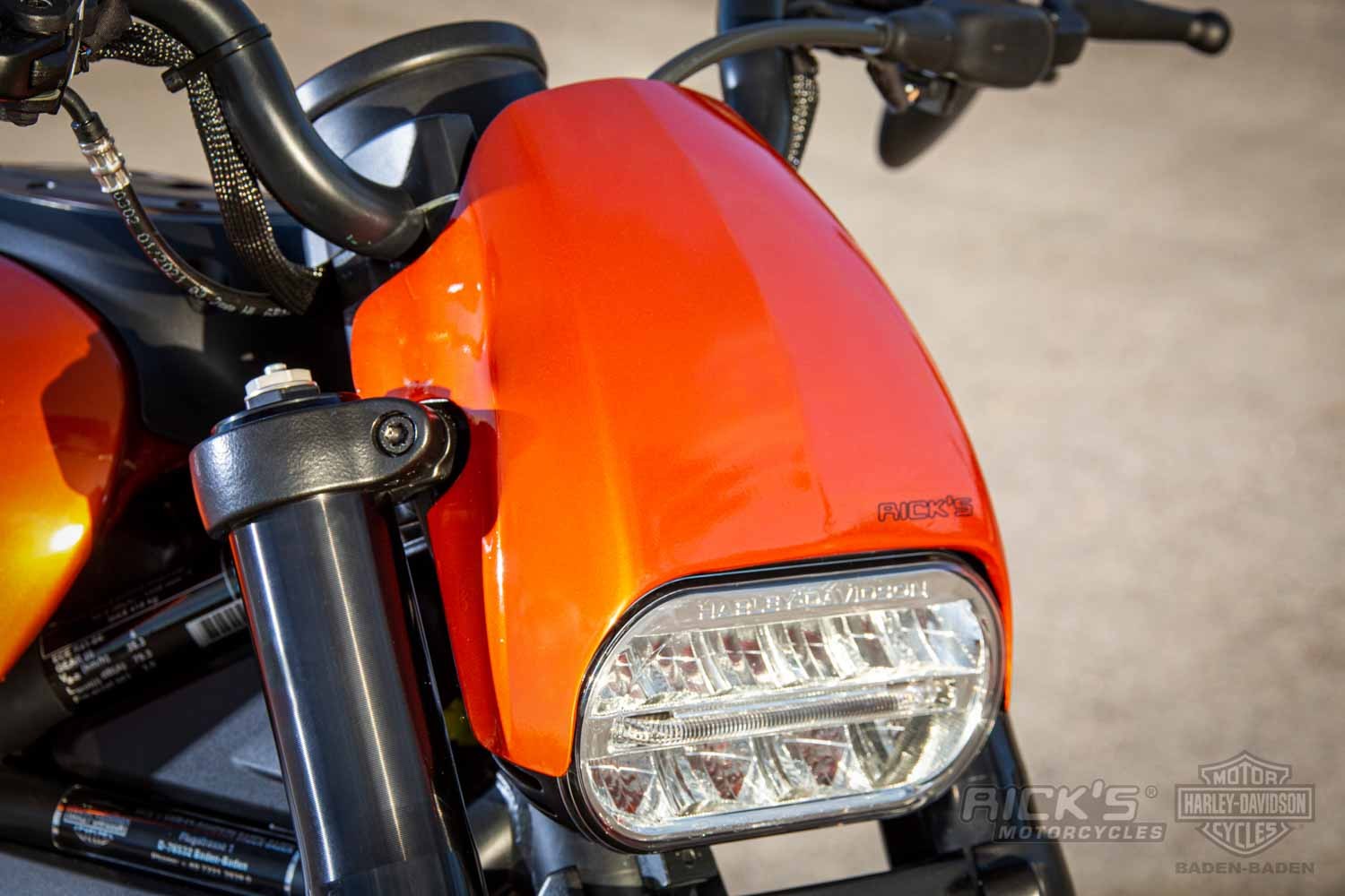 Harley-Davidson-Sportster-S-Ricks-Custombike-003