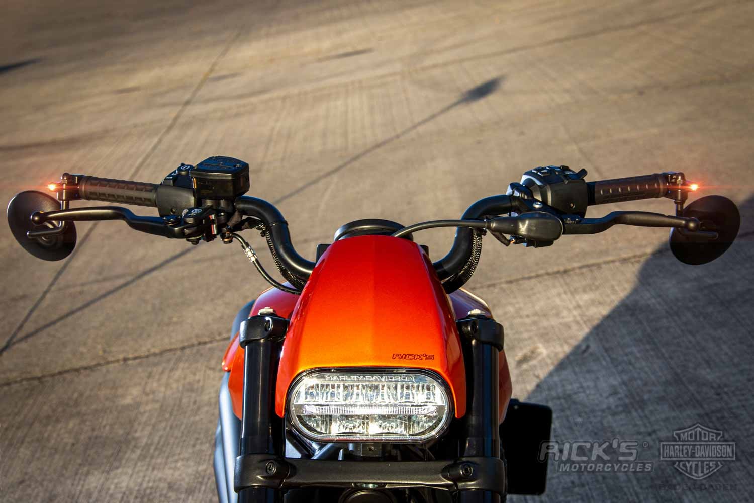 Harley-Davidson-Sportster-S-Ricks-Custombike-016