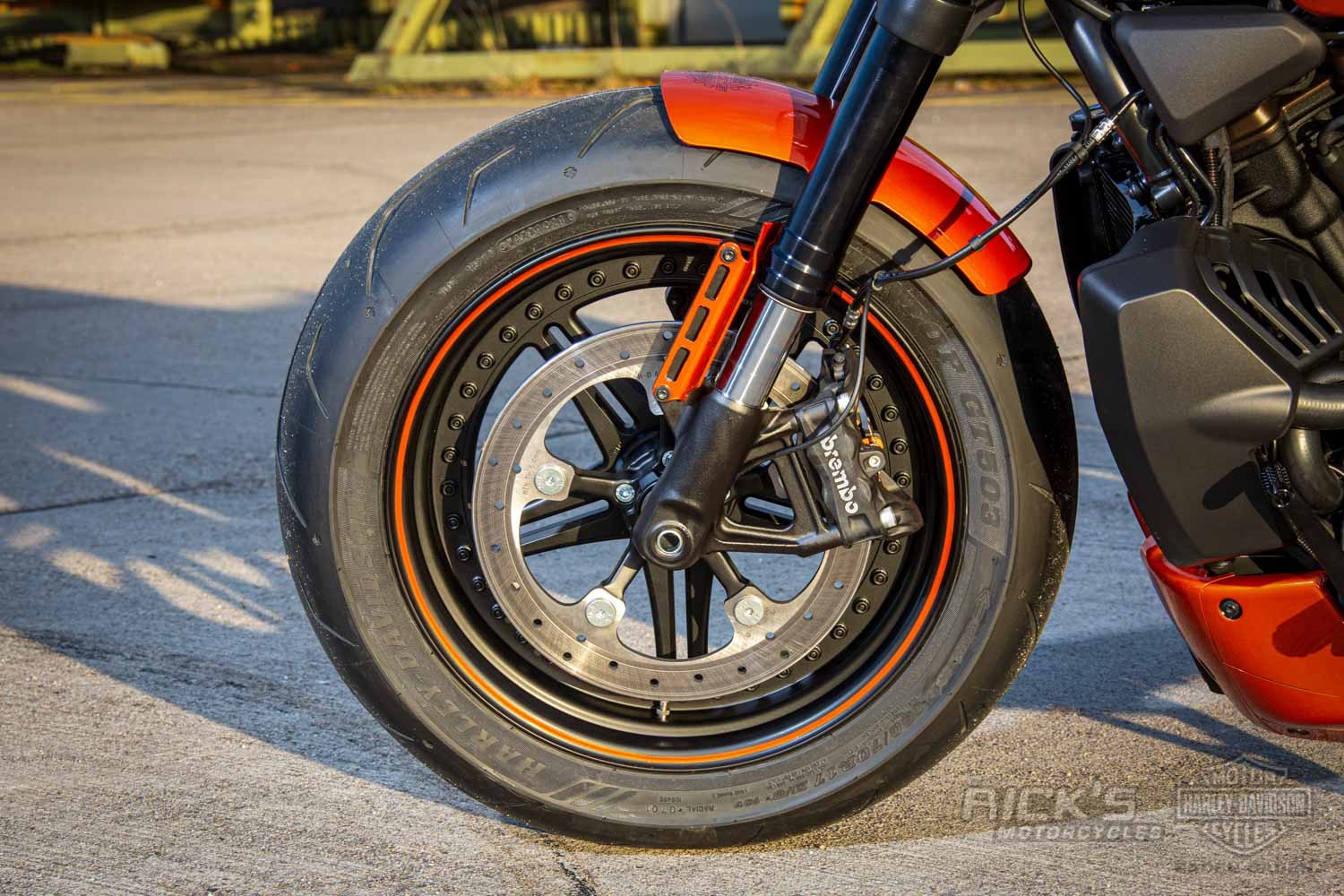 Harley-Davidson-Sportster S-Ricks Custombike-048