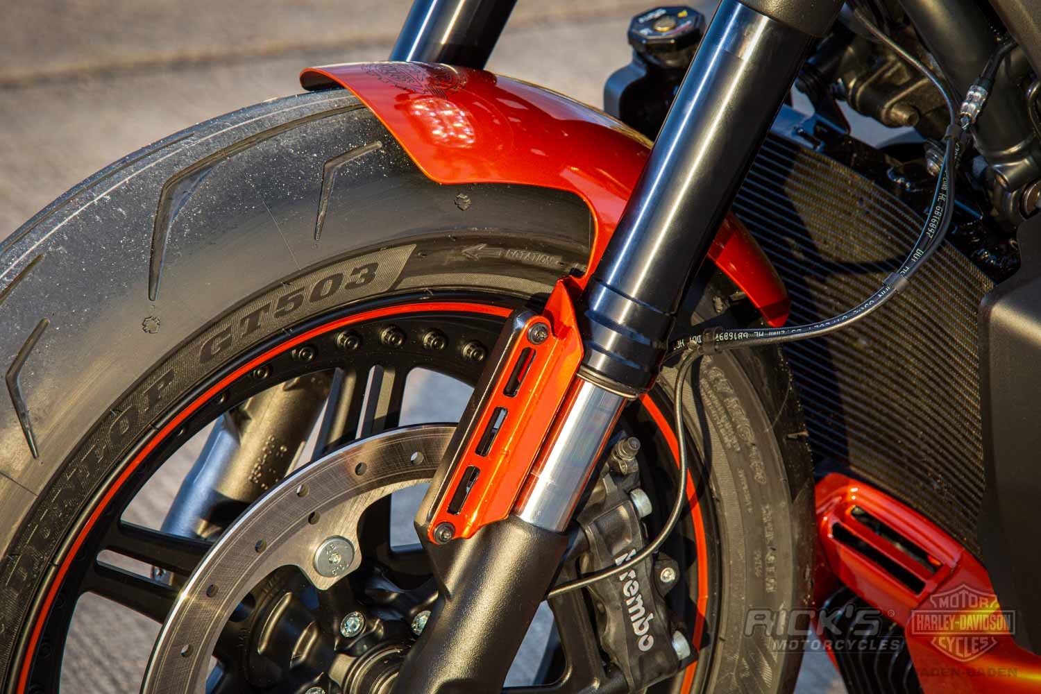 Harley-Davidson-Sportster S-Ricks Custombike-060