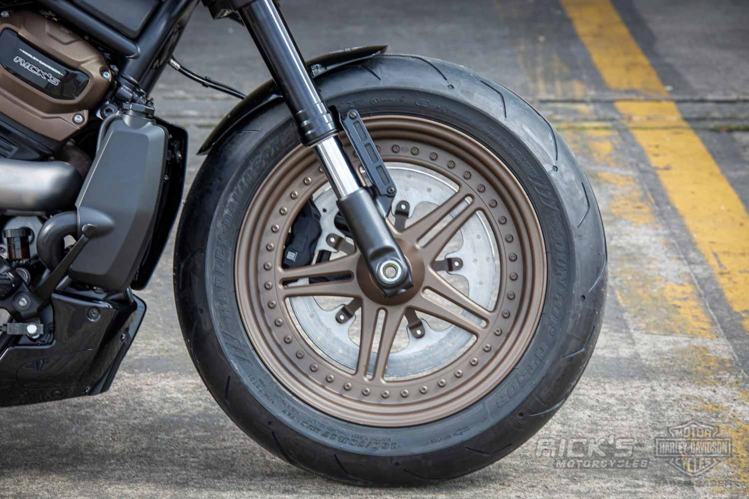 Harley-Davidson-Sportster-S-Ricks-Custombike-078