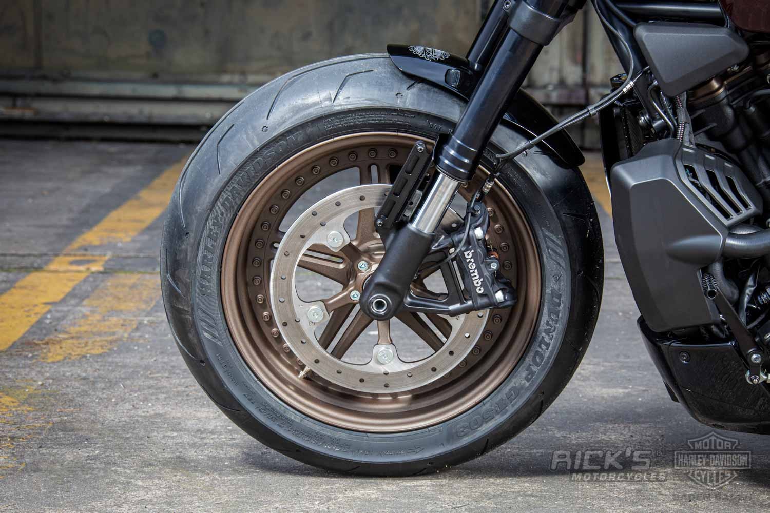 Harley-Davidson-Sportster-S-Ricks-Custombike-103