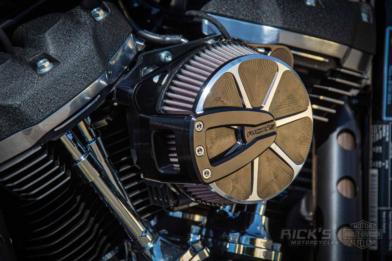 Harley-Davidson-Street-Bob-Ricks-Custom-Bobber-033