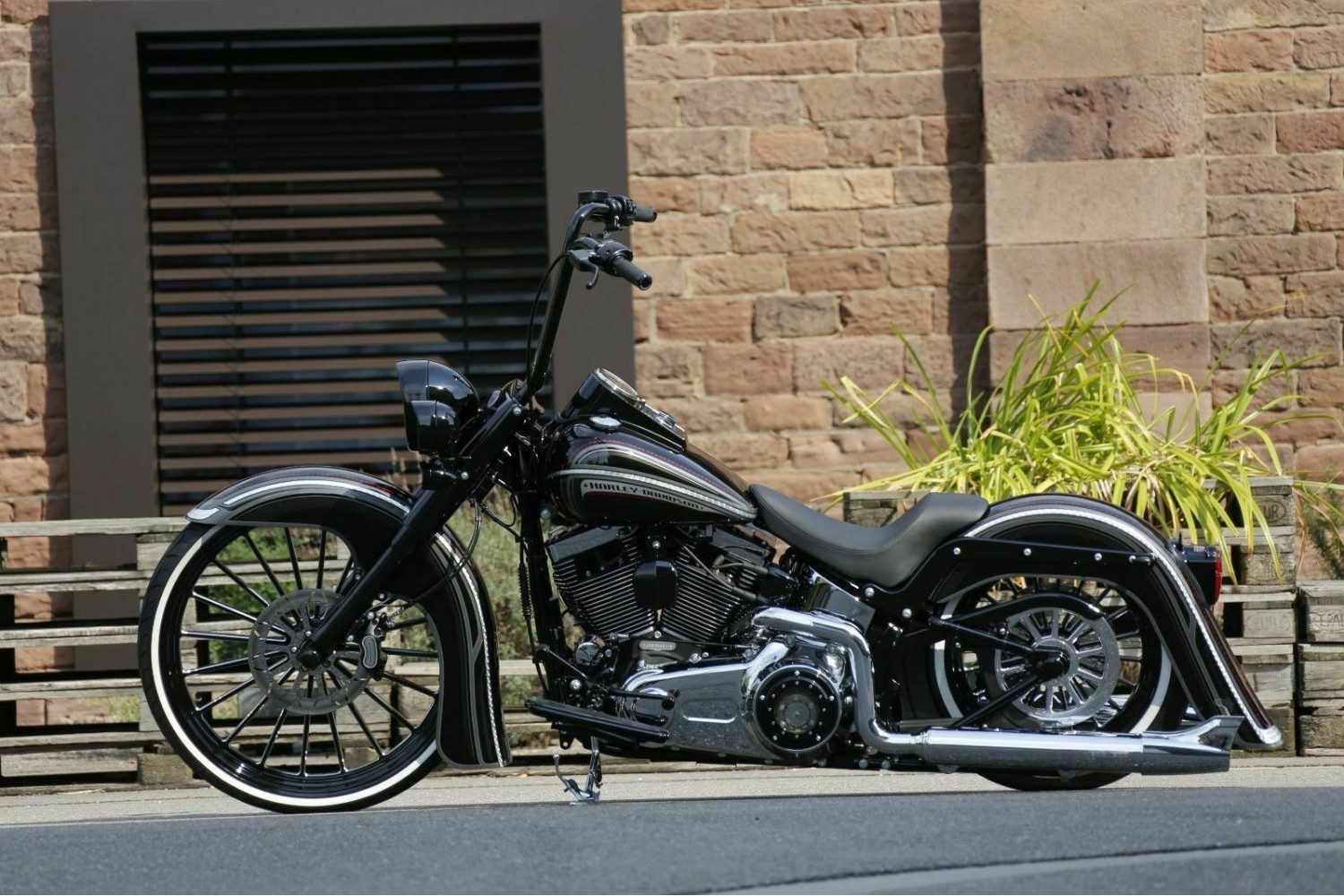 254mm poliert Bremsscheibe Motorrad Ricks Harley-Davidson "Steve" 10" 