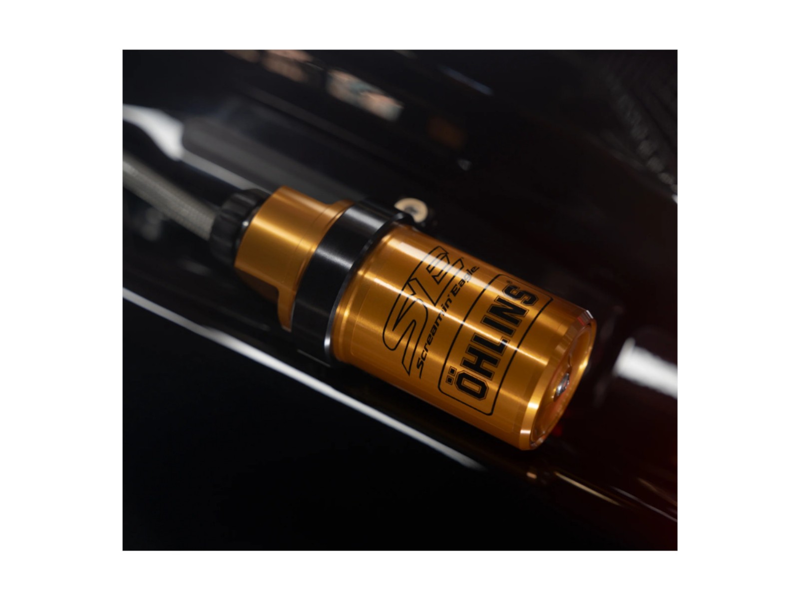 Scream Honey Limited Edition オーバードイライブ Scream Honey