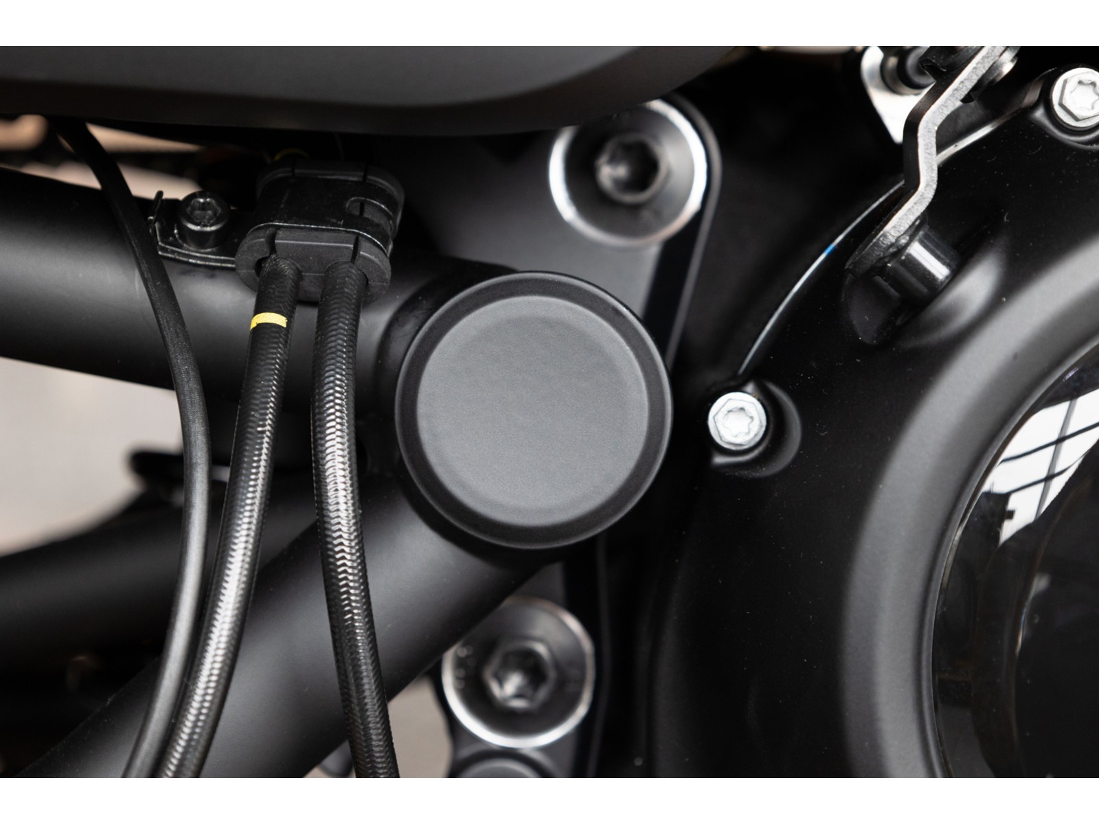 Rick's Motorcycles Sportster S axle cover swingarm axle