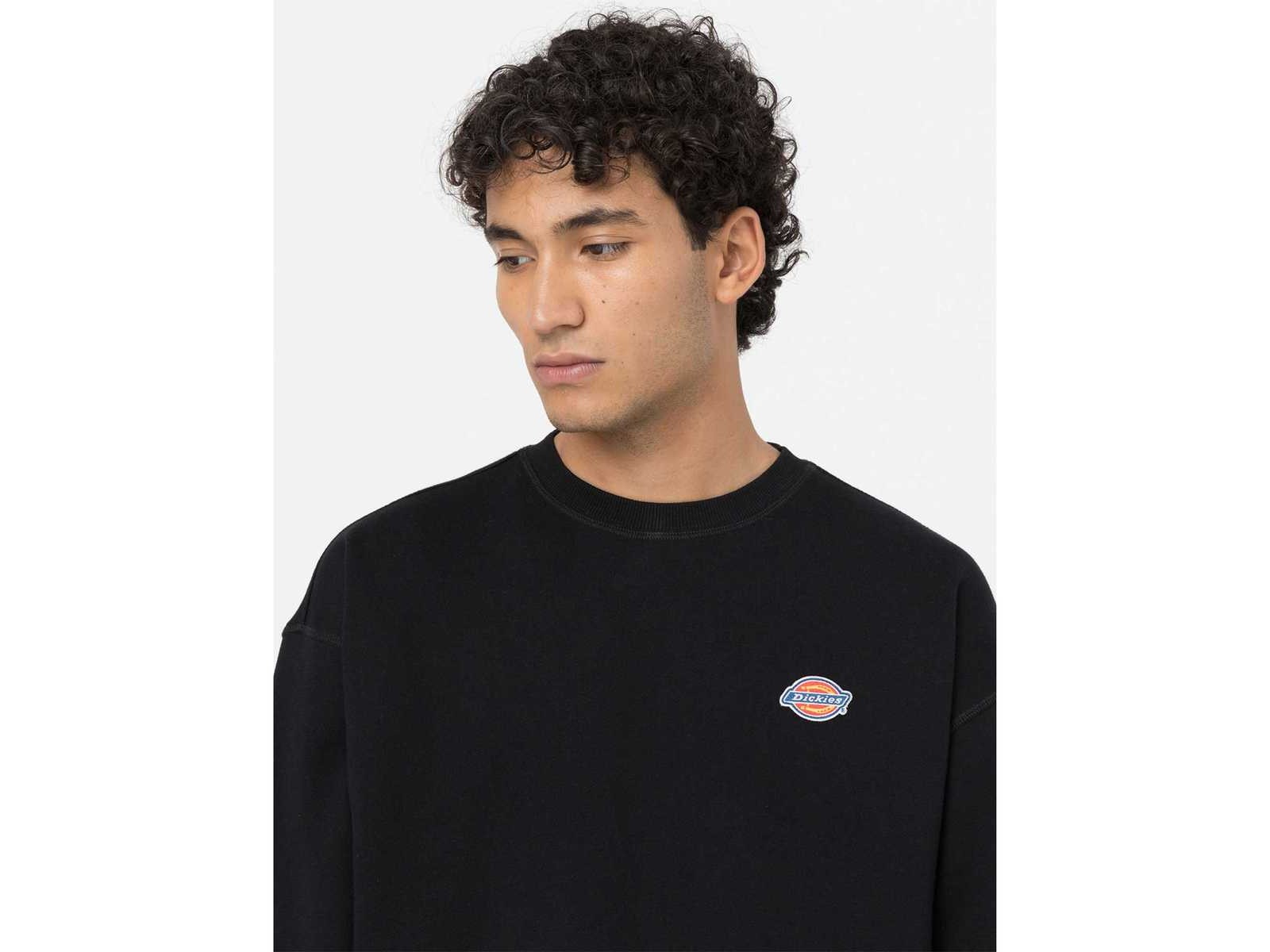 Felpa Uomo Dickies Pittsburgh, 58% Cotone 42% Poliestere, Manica Lunga, Vita Elastica, Lavabile In Lavatrice