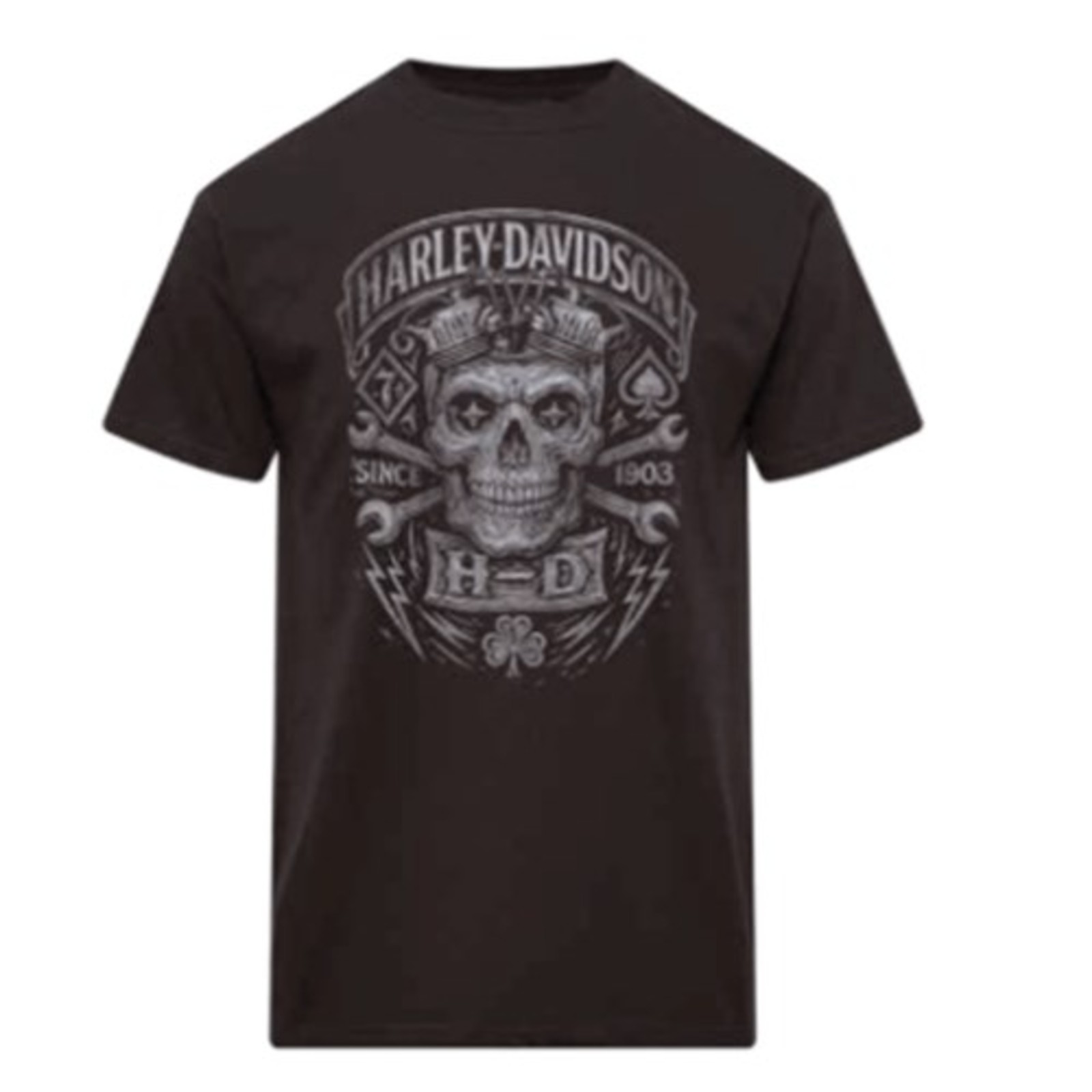 Harley-Davidson Herren Dealer T-Shirt 