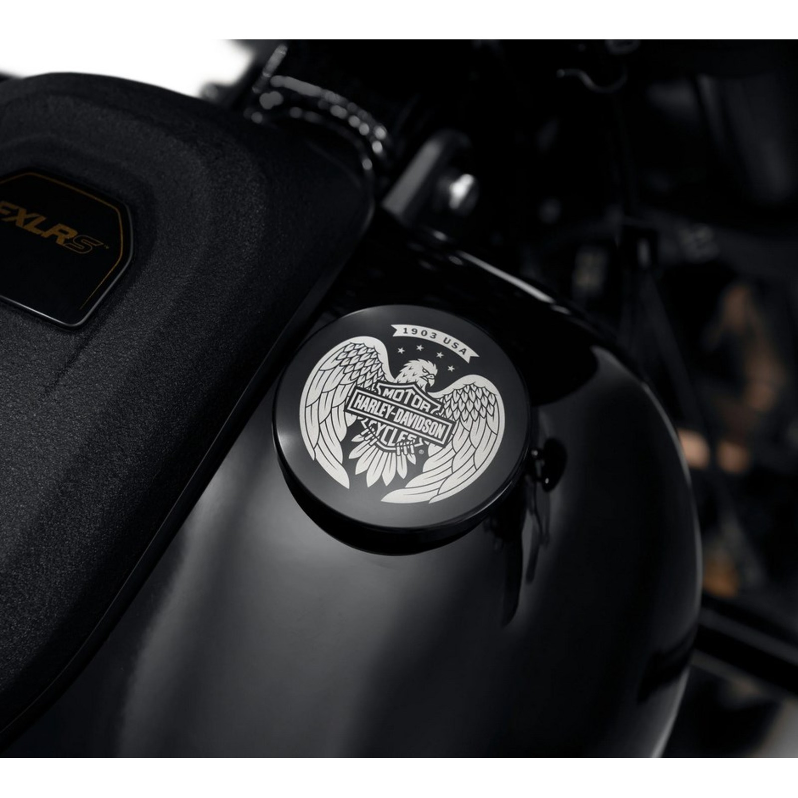 Harley-Davidson タンク エンブレム付き 61100209-2-30011.jpg