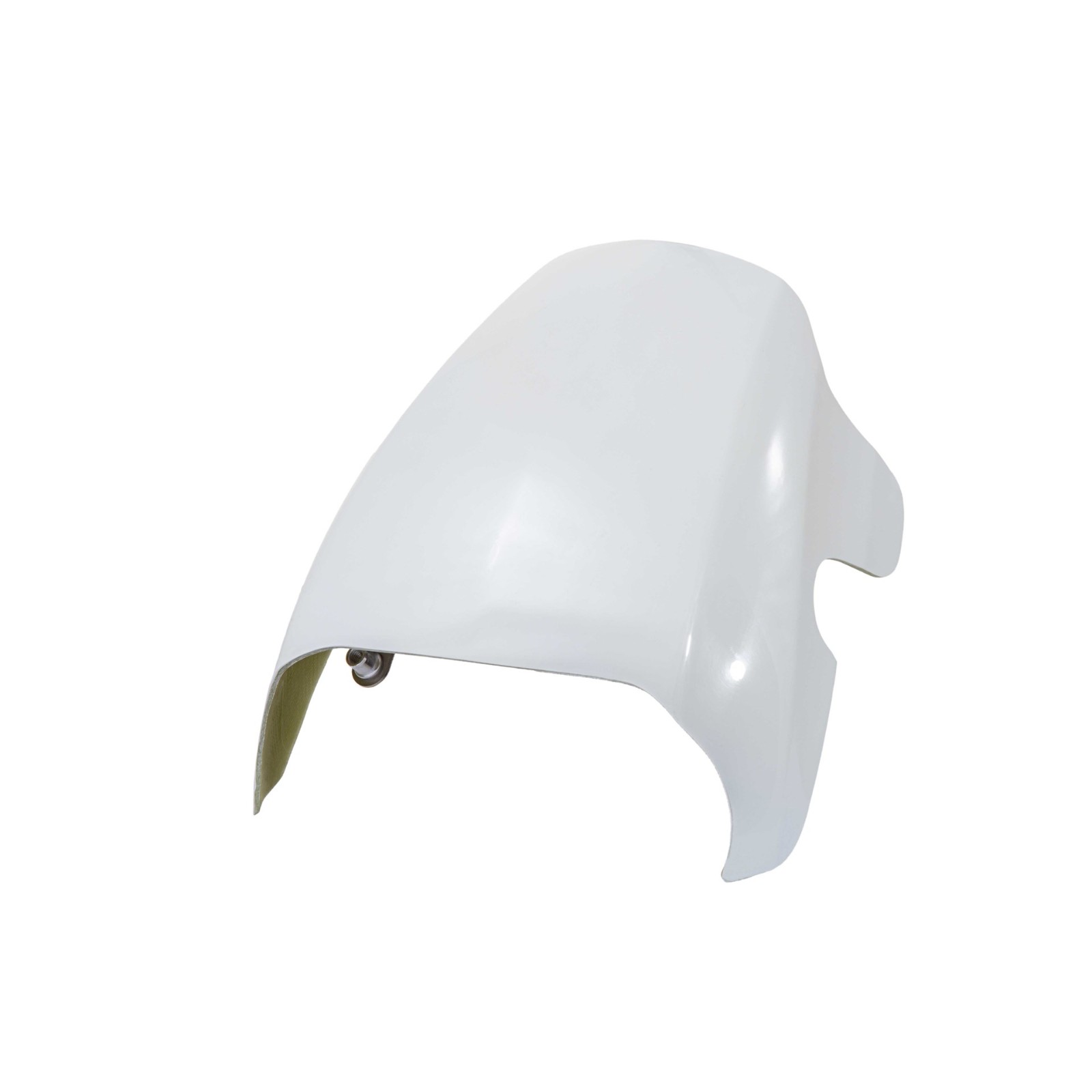 Rick's Motorcycles headlight mask Sportster S from 2021