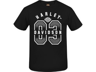T-shirt Concessionnaire HARLEY-DAVIDSON Baden-Baden – Gris, Neuf Avec étiquettes, Pour Homme