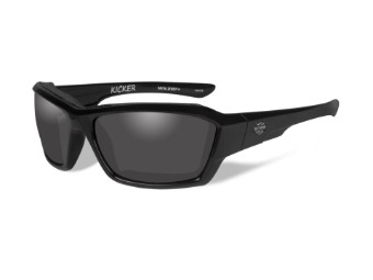 Harley-Davidson Sunglasses Biker Glasses Wiley X "HD KICKER" Motorcycle Glasses HAKIC01