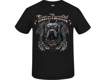 Harley-Davidson "On Guard" Men's Dealer T-Shirt R004163 Black Cotton