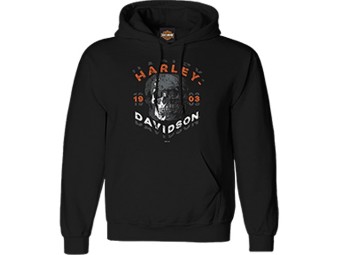 Harley-Davidson "Shutter Skull" Herren Dealer Longsleeve R004185 Black Baumwolle