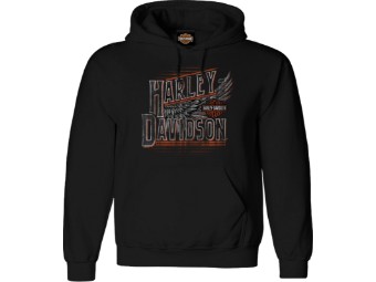 Harley-Davidson "Take Flight HD" Men´s Dealer Sweatshirt R004734 Herren